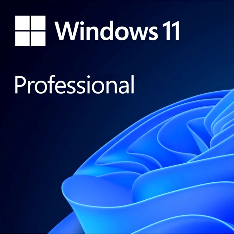 windows 11 pro