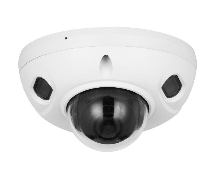 2MP IR Mini Dome IP camera